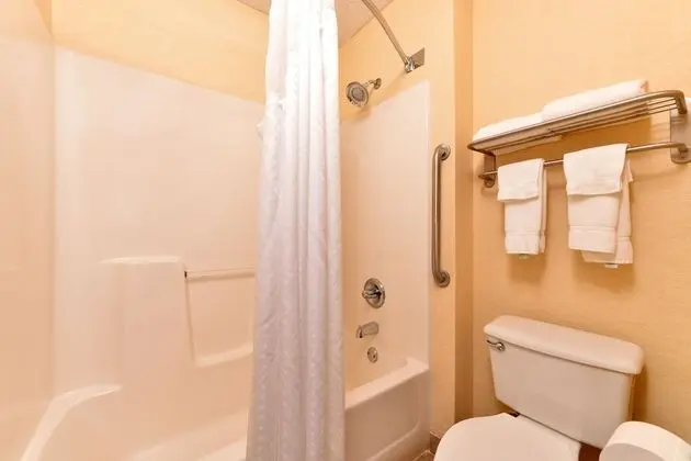 Oda, 1 En Büyük (King) Boy Yatak, Engellilere Uygun, Sigara İçilmez (Roll-In Shower)