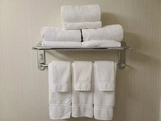 Standard Oda, 1 En Büyük (King) Boy Yatak, Engellilere Uygun (Roll-In Shower)