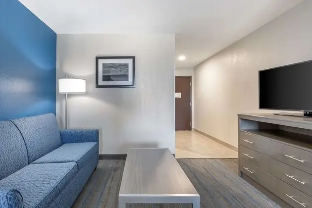 Süit, 1 En Büyük (King) Boy Yatak, Engellilere Uygun, Buzdolabı ve Mikrodalga (with Sofabed)