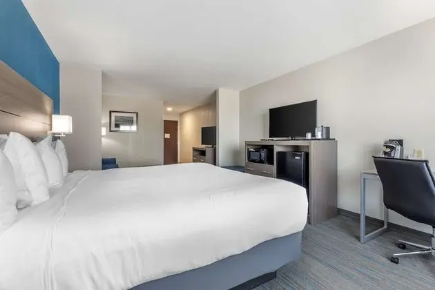 Süit, 1 En Büyük (King) Boy Yatak, Engellilere Uygun, Buzdolabı ve Mikrodalga (with Sofabed)