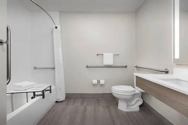 Standard Oda, 1 En Büyük (King) Boy Yatak, Engellilere Uygun (Mobility, Accessible Tub)