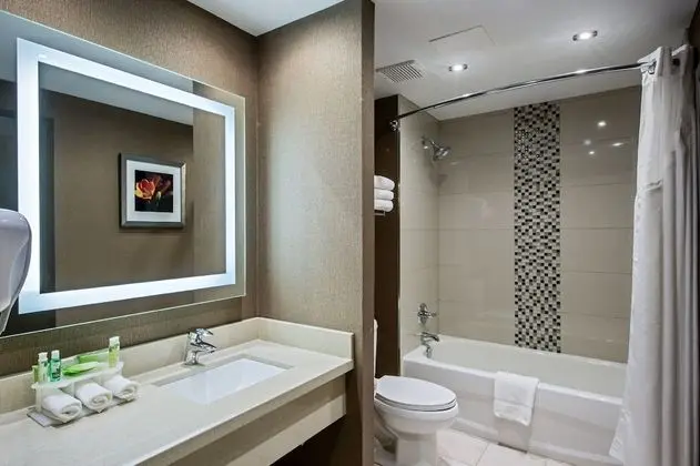 Standard Oda, 1 Büyük (Queen) Boy Yatak, Engellilere Uygun (Mobility, Accessible Tub)