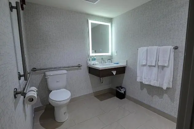 Süit, 1 En Büyük (King) Boy Yatak, Engellilere Uygun (Roll In Shower)