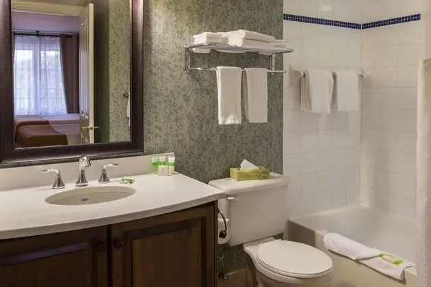Standard Oda, 1 Büyük (Queen) Boy Yatak (Bath Shower Combination)
