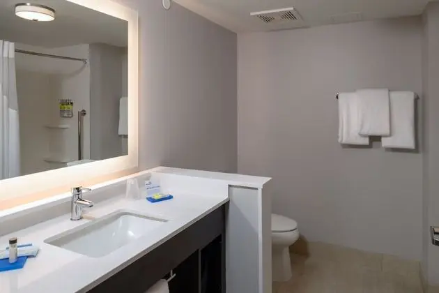Süit, 1 Yatak Odası, Engellilere Uygun (Roll-In Shower)