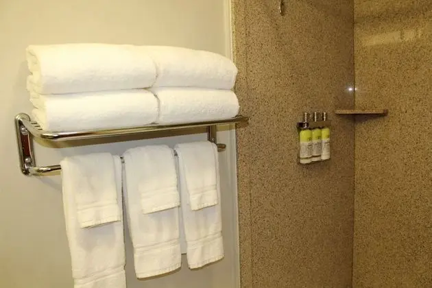 Standard Oda, 1 En Büyük (King) Boy Yatak, Engellilere Uygun (Communications, Accessible Tub)