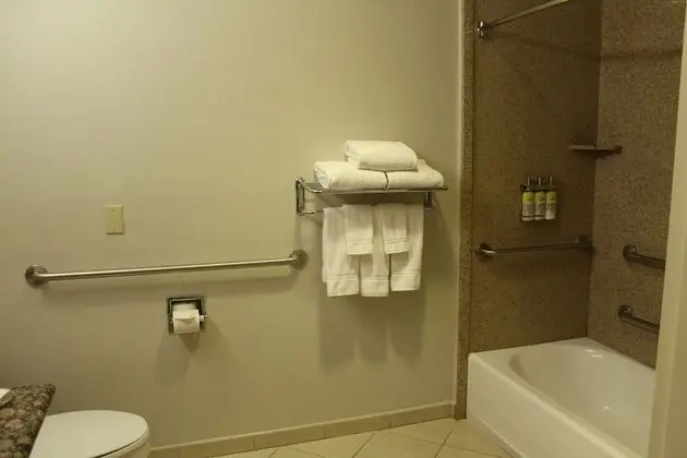 Süit, 1 Yatak Odası, Engellilere Uygun (Communications, Mobil, Accessible Tub)