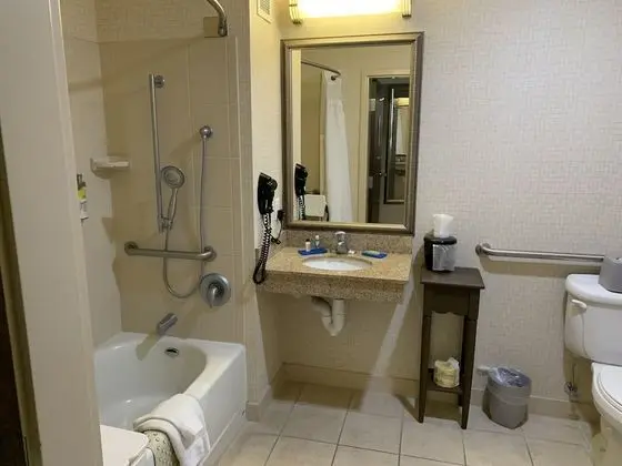 Süit, 1 En Büyük (King) Boy Yatak, Engellilere Uygun (Accessible Tub)