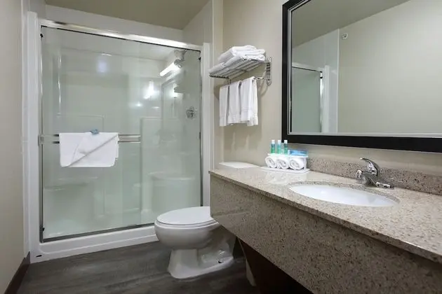 Süit, 1 En Büyük (King) Boy Yatak, Şömine (Jetted Tub, Sofa)