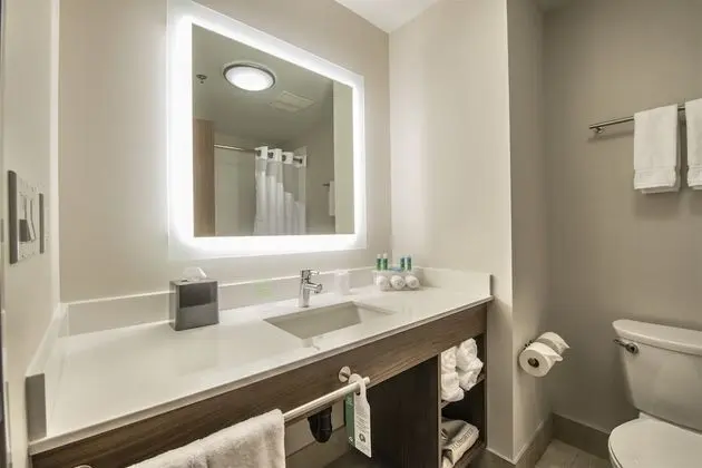 Süit, Birden Çok Yatak (Wet Bar, Pet Friendly)