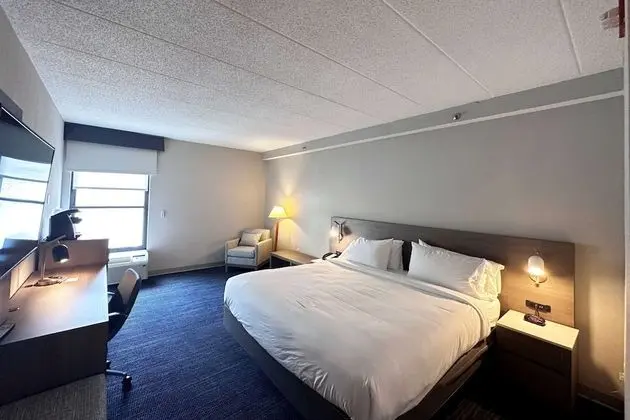 Oda, 1 En Büyük (King) Boy Yatak, Engellilere Uygun (Mobility/Hearing, Roll-in Shower)