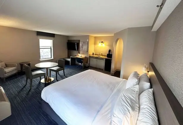 Süit, 1 En Büyük (King) Boy Yatak, Sigara İçilmez (Efficiency)