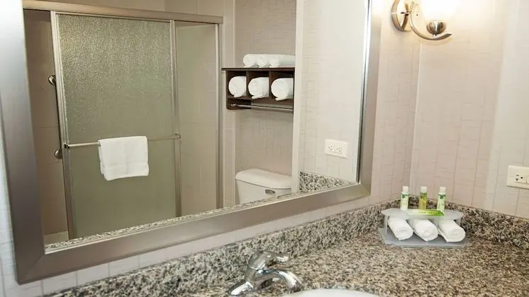 Süit, Birden Çok Yatak, Engellilere Uygun, Sigara İçilmez (Communication, Accessible Tub)