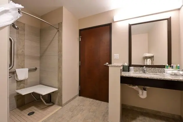 Standard Oda, 1 En Büyük (King) Boy Yatak, Engellilere Uygun (Roll-In Shower)