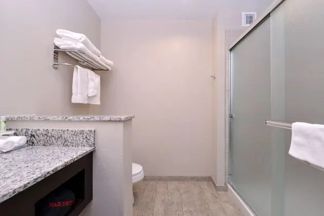 Standard Oda, 1 En Büyük (King) Boy Yatak, Engellilere Uygun (Roll-In Shower)