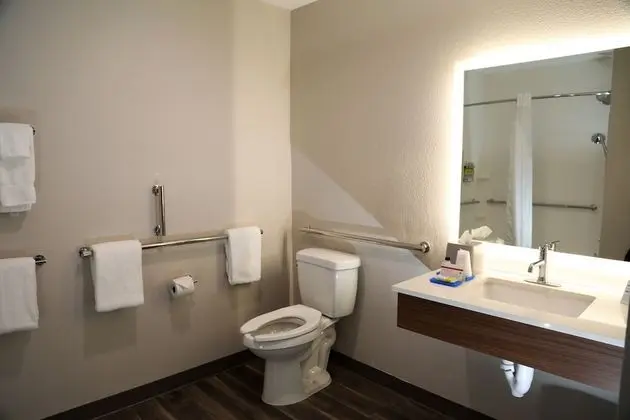 Standard Oda, 2 Büyük (Queen) Boy Yatak, Engellilere Uygun (Mobility, Accessible Tub)