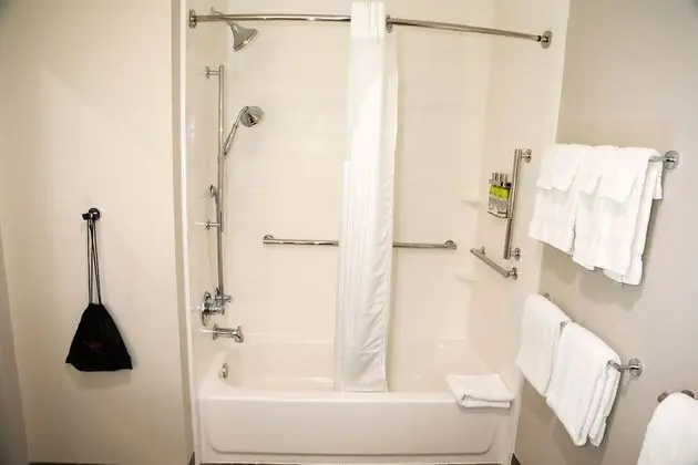 Standard Oda, 2 Büyük (Queen) Boy Yatak, Engellilere Uygun (Mobility, Accessible Tub)