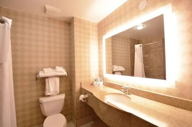 Standard Oda, 1 En Büyük (King) Boy Yatak, Engellilere Uygun (Communications, Accessible Tub)