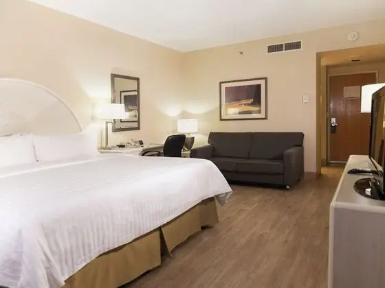 Standard Oda, 1 En Büyük (King) Boy Yatak, Engellilere Uygun