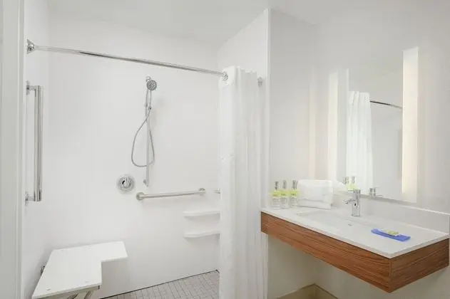 Süit, 1 En Büyük (King) Boy Yatak, Engellilere Uygun (Roll-In Shower)