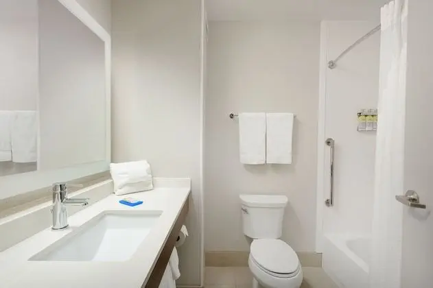 Süit, 1 En Büyük (King) Boy Yatak, Engellilere Uygun (Roll-In Shower)