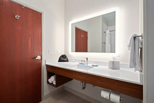 Süit, 1 En Büyük (King) Boy Yatak (Additional Living Area)