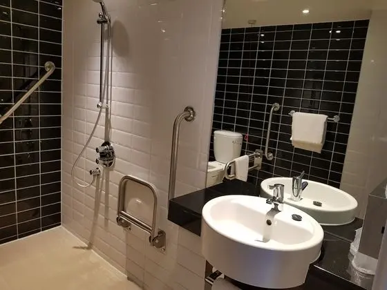Standard Oda, 1 Çift Kişilik Yatak, Engellilere Uygun (Roll-In Shower)