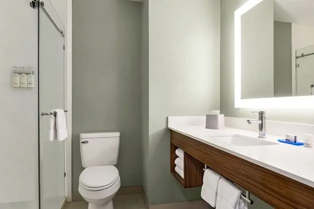 Süit, 1 En Büyük (King) Boy Yatak (Additional Living Area)