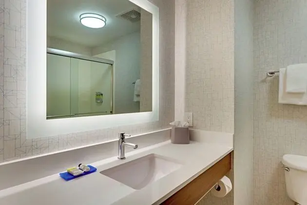 Süit, 1 Yatak Odası (1 King, Walk in Shower)