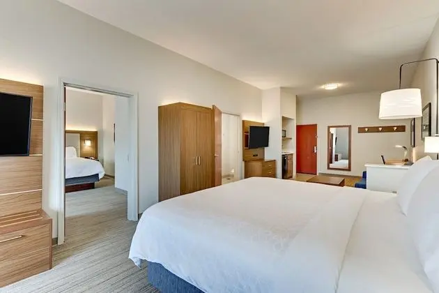 Süit, 2 Yatak Odası (2 King Beds, Sofa Bed)