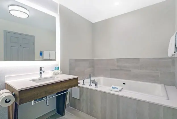 Süit, 1 En Büyük (King) Boy Yatak, Sıcak Su Küveti (Living Area)