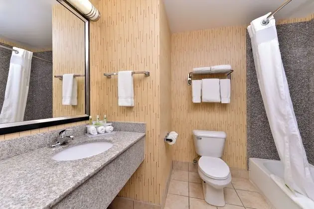 Standard Oda, 2 Büyük (Queen) Boy Yatak, Engellilere Uygun (Mobility, Accessible Tub)