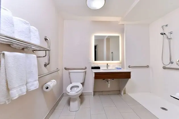 Oda, Engellilere Uygun, Sigara İçilmez (Mobility, Roll-In Shower)