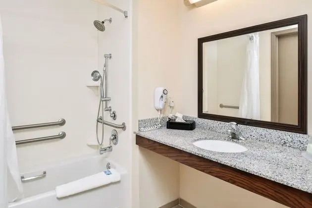 Süit, 1 En Büyük (King) Boy Yatak, Engellilere Uygun (Accessible Tub)