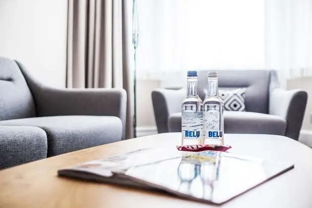 Premium Oda, 1 Büyük (Queen) Boy Yatak ve Çekyat (Minibar)