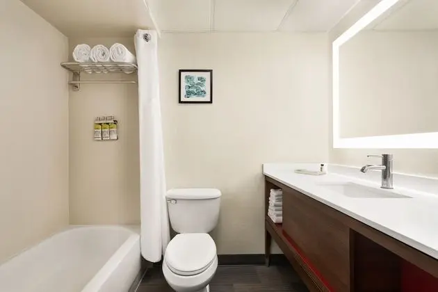 Standard Oda, 2 Büyük (Queen) Boy Yatak, Engellilere Uygun (Communications, Accessible Tub)