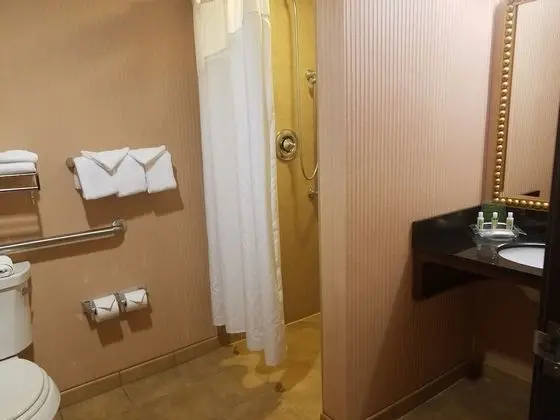 Oda, 1 En Büyük (King) Boy Yatak, Engellilere Uygun, Sigara İçilmez (Roll-in Shower)