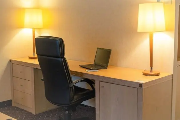 Premium Oda, 1 En Büyük (King) Boy Yatak ve Çekyat
