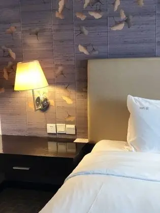 Standard Oda, 2 Tek Kişilik Yatak (Lounge Access)