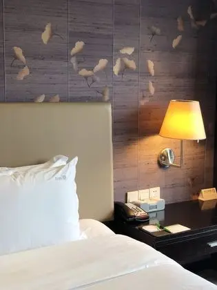 Standard Oda, 2 Tek Kişilik Yatak (Lounge Access)