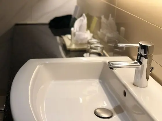 Standard Oda, 2 Tek Kişilik Yatak (Lounge Access)