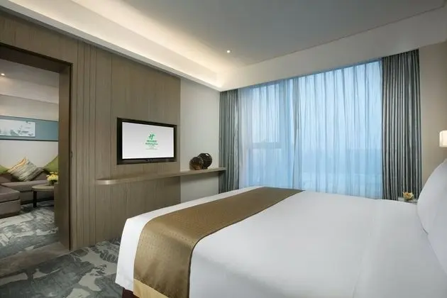 Süit, 1 Yatak Odası (with Living Area)