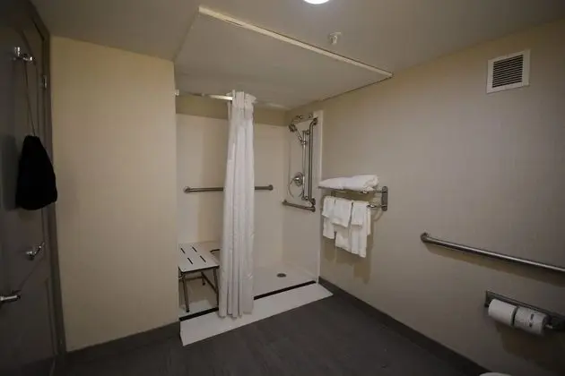 Standard Oda, 1 En Büyük (King) Boy Yatak, Engellilere Uygun (Mobility, Roll-In Shower)