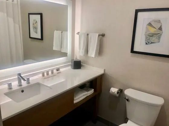 Standard Oda, 1 En Büyük (King) Boy Yatak, Engellilere Uygun (Mobility, Transfer Shower)