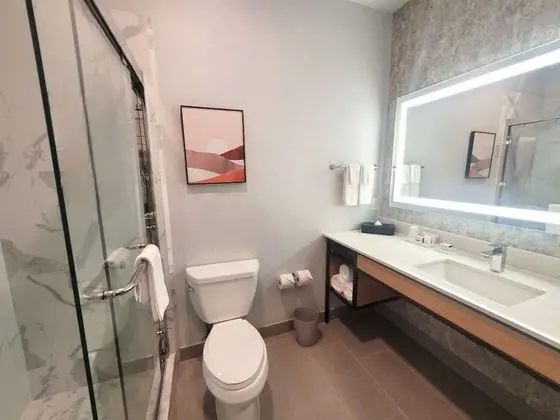 Oda, 2 Büyük (Queen) Boy Yatak, Engellilere Uygun (Roll-In Shower)