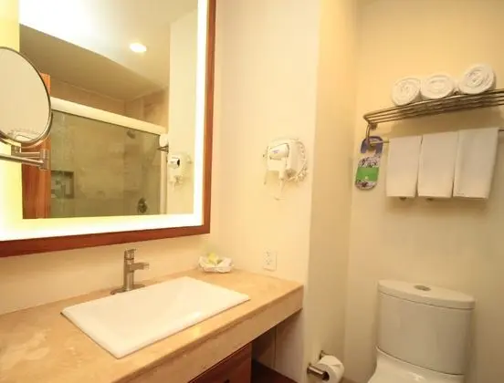 Standard Oda, 1 En Büyük (King) Boy Yatak (Pet Friendly)