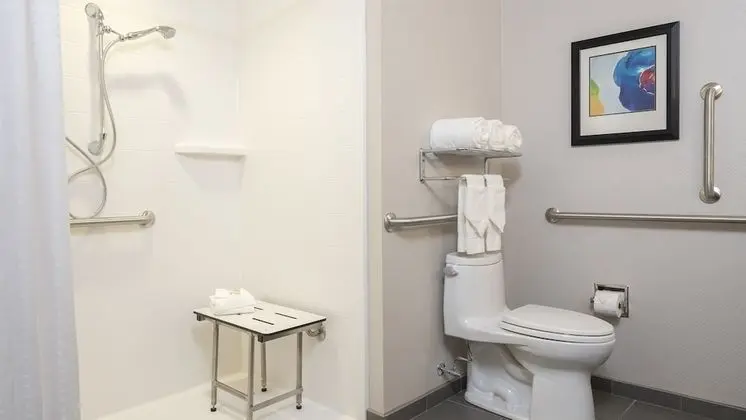 Standard Oda, 1 En Büyük (King) Boy Yatak, Engellilere Uygun (Mobility, Roll-In Shower)