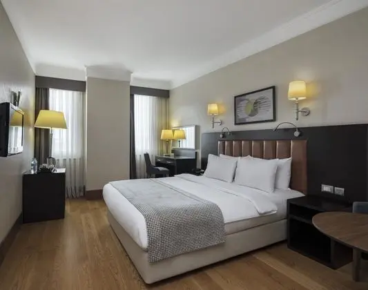 Standart Oda, Şehir Manzaralı, Non-Smoking Room