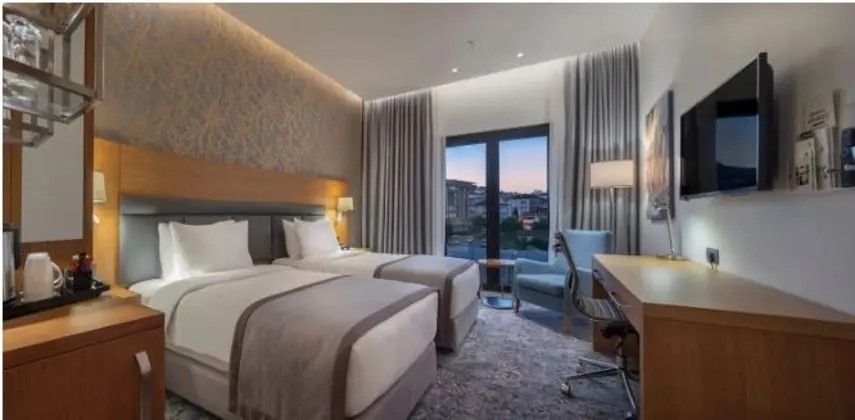Standard Oda Sehir Manzaralı