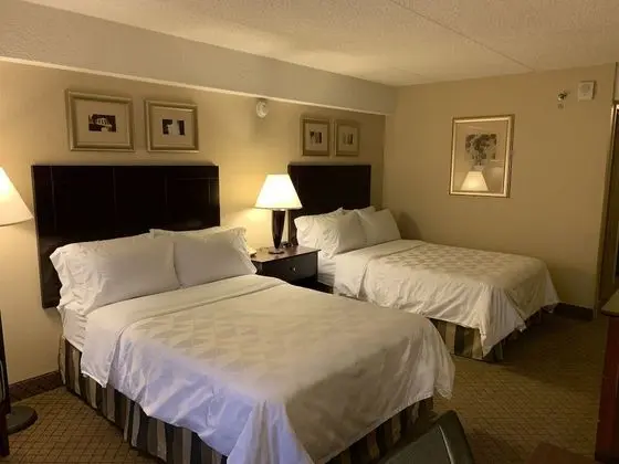Standard Oda
